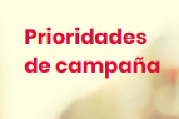 Prioridades de Campaña - Reunión de Alto Nivel de la ONU sobre ENT 2018